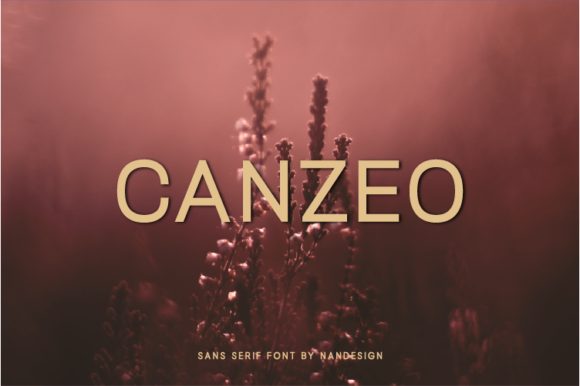 Canzeo Font: A Modern Sans Serif for Crafters