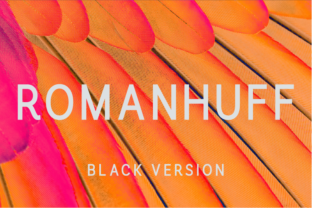 Romanhuff Black: A Bold Sans Serif Font for Web Headers