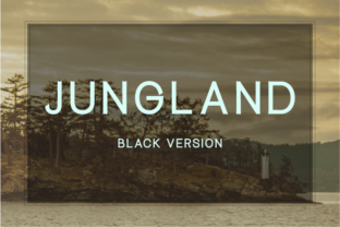 Why Jungland Black is the Perfect Display Font for Modern Web Design